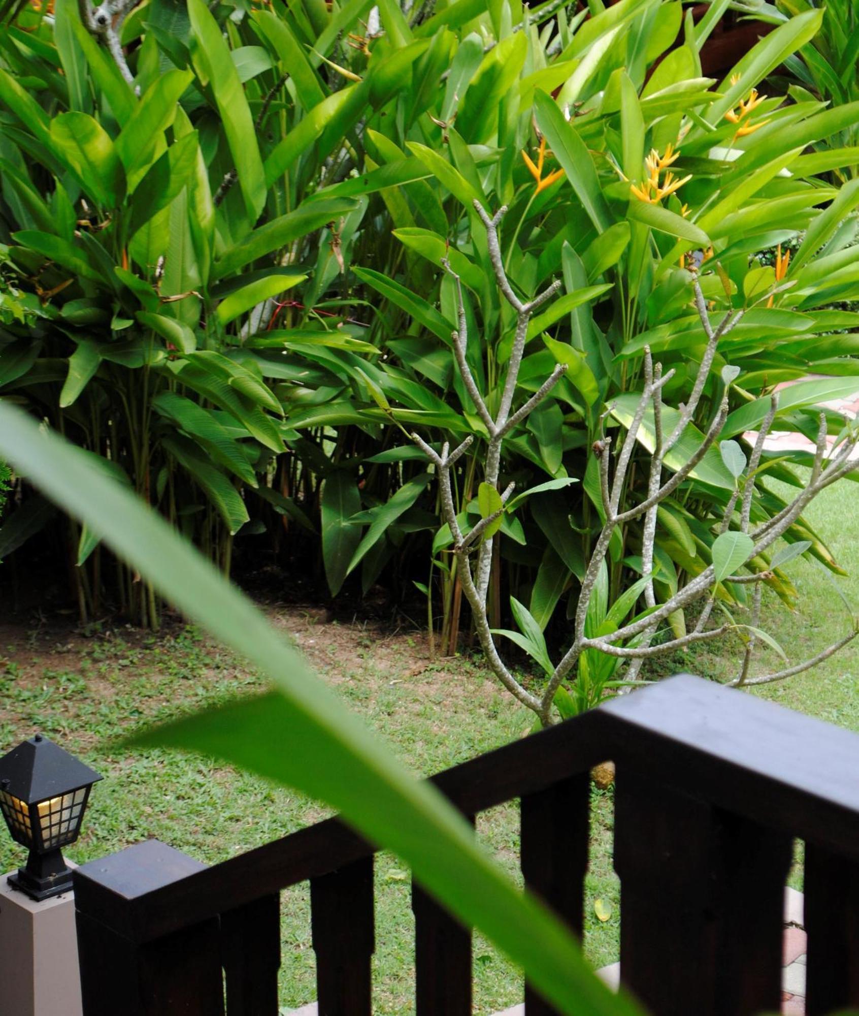 Baan Sawan Samui Resort Chaweng  Habitación foto